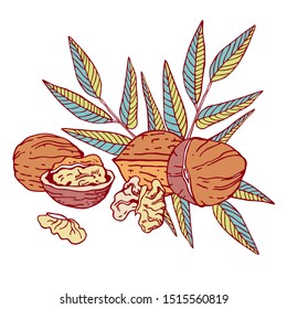 Composition with walnuts and leaves. Hand drawn outline vector sketch illustration. Color on white background