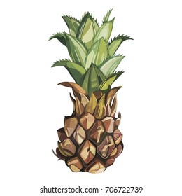 Composition with watercolor hand drawn ananas. Background for food packaging, cards posters. isolated on white .