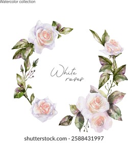 Composition of white roses watercolor.Vector graphics are suitable for decorating any design.