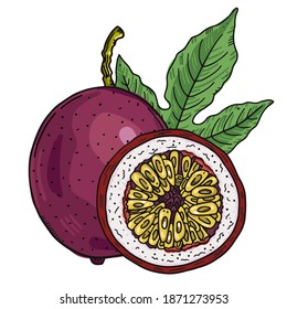 Composition of a whole passion fruit and a half cut of fruit on a leaves background. Color image on a white background. Doodle style.