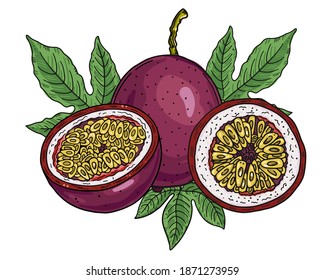 Composition of a whole passion fruit and a half cut of fruit on a leaves background. Color image on a white background. Doodle style.