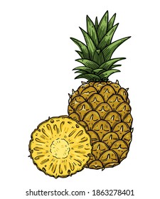 Composition of a whole pineapple and a half cut of fruit on a background. Color image on a white background. Doodle style.