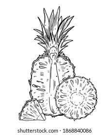 Composition of a whole pineapple and a half cut of fruit. Black outline image on a white background. Doodle style.