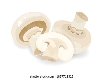 Composition of whole and sliced champignon isolated on white background. Edible raw mushrooms, natural cooking ingredient. Flat vector cartoon illustration of agaricus bisporus