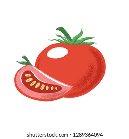 Composition of whole and sliced red ripe tomato, textured vector illustration isolated on white background. Textured vector illustration of red tomato - whole and piece - for label design