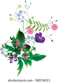 Composition from wild flowers with dewdrops on a white background