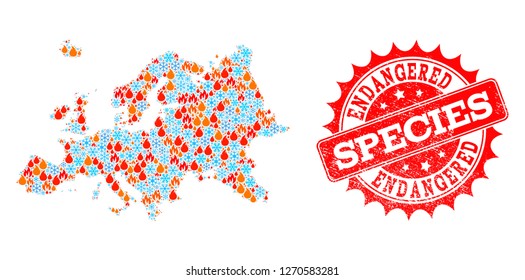 Composition of winter and fire map of Europe and Endangered Species grunge stamp seal. Mosaic vector map of Europe is created with winter and flame icons. Endangered Species stamp has red color,