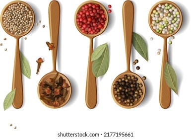 a composition of wooden spoons with colorful peppers, coriander seeds and bay leaf. Vector realistic drawing highlighted without background. Ideal for any advertisement, showcase, menu or board