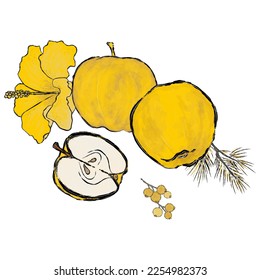 composition yellow apples and hibiscus	
