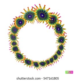 Composition of yellow flowers on a white background. 