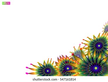 Composition of yellow flowers on a white background. 