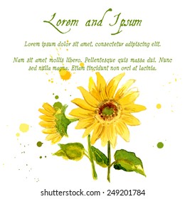 The composition of yellow sunflower painted in watercolor for your design