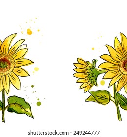 The composition of yellow sunflower painted in watercolor for your design