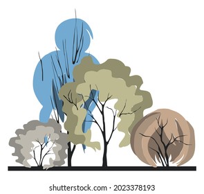 Grupo compuesto de árboles con una corona inusual en forma de peinado femenino. Arquitectónica de plantas leñosas. Arquitectura paisajística en colores 2021