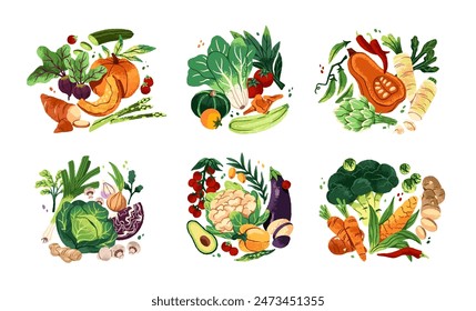 Compositions of different fresh vegetables set. Healthy natural food: pumpkin, cabbage, salad. Organic agriculture harvest, farm crop. Flat isolated hand drawn vector illustrations on white background