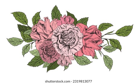 Compositions of flower arrangements. Pink pale roses, various flowers, green leaves. asiatic buttercup. Hand drawn sketch. For print, design, package, flyer, fabric