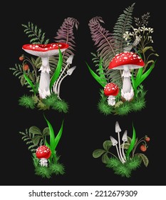 Compositions with Fly agarics, mushroom, and plants isolated. Vector