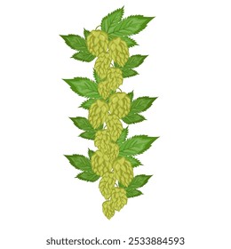 Composiciones de hojas y frutos de lúpulo. Planta de hierba de lúpulo para cervecería de cerveza. Rama de lúpulo. Para el diseño de un cartel, menú de una cervecería artesanal.