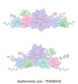 Compositions of succulent plants. Vector illustration.