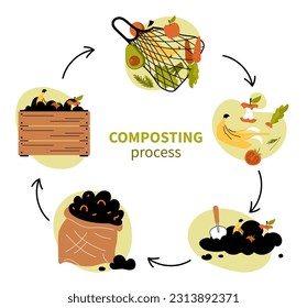 Compost cycle infographic concept. Biology and nature. Recycling and disposal of organic products, reuse of garbage and zero waste. Cartoon flat vector illustration isolated on white background