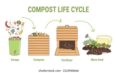 Compost life circle infographic. Composting process. Schema of recycling organic waste from collecting kitchen scraps to use compost for farming. Zero waste concept. Hand drawn vector illustration.