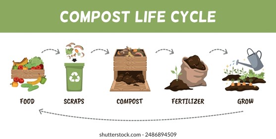 Círculo de vida de materias primas de compost. Reciclaje de residuos orgánicos, fertilizantes para plantas de jardinería, recolección de restos de cocina, peelings de verduras caricatura plana aislada Vector ordenado cartel infográfico