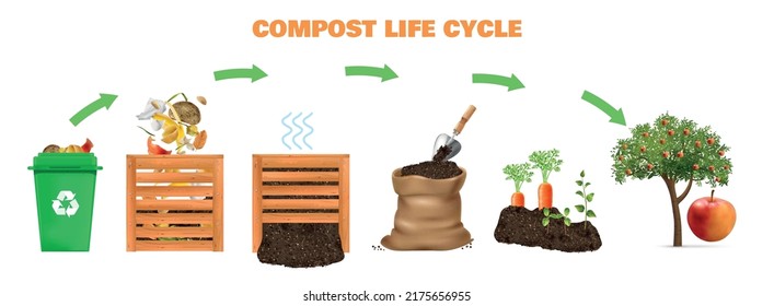 Compost realistic life cycle concept with ecosystem symbols vector illustration