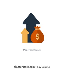 Compound Interest, Added Value, Financial Investments Stock Market, Future Income Growth, Revenue Increase, Money Return, Pension Fund Plan, Budget Management, Savings Account, Banking Vector Icon