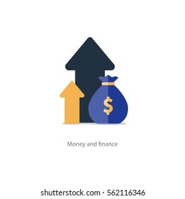Compound interest, added value, financial investments stock market, future income growth, revenue increase, money return, pension fund plan, budget management, savings account, banking vector icon