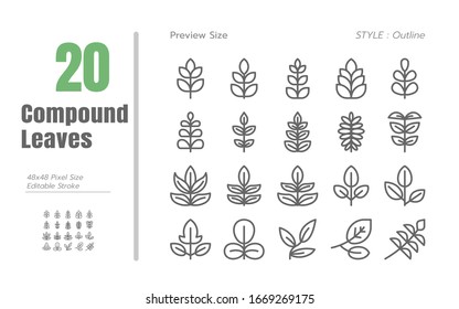 Compound Leaf Outline line Icon Set Spring Concept Illustration Vector EPS 10. Editable Stroke