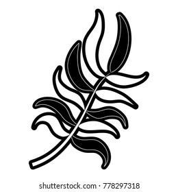 compound leaf  vector illustration