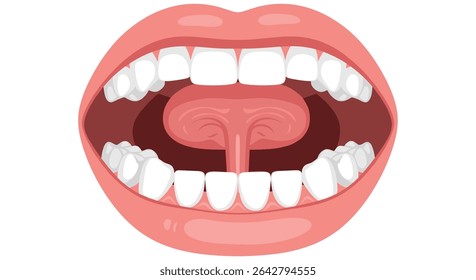 Comprehensive Analysis of Oral Health Anatomy Physiology and Common Disorders for Medical Professionals
