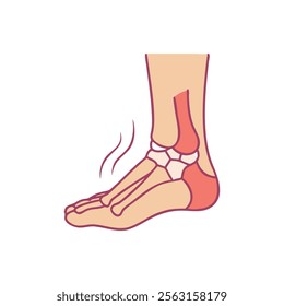 Comprehensive Ankle Joint Anatomy Illustration