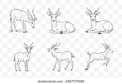 Colección integral de Vector de arte de línea Antelope para diseñadores y creadores