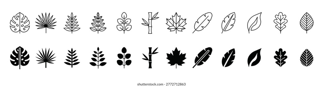 Comprehensive assortment of diverse plant leaves and botanical shapes featuring tropical monstera palm fern bamboo maple oak and simple foliage styles available as both thin stroke outlines and filled black icons for nature themes.