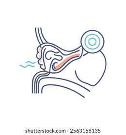 Comprehensive Auditory Canal Anatomy Illustration