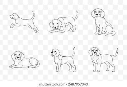 Umfangreiches Beagle Line Art Vektorgrafik Set für detaillierte Illustrationen und Designprojekte