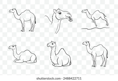 Comprehensive Camel Line Art Vector Set Perfect for Illustrations and Graphic Designs Up to 100 Unique Vectors Included