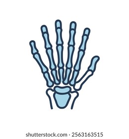 Comprehensive Carpal Bones Anatomy Illustration