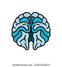 Comprehensive Cerebellum Anatomy Visual Guide