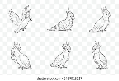 Comprehensive Cockatoo Line Art Vector Set for Creative and Professional Design Projects