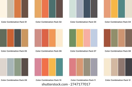A comprehensive collection of 12 professional color combination packs featuring vintage, retro, and earthy tones. Perfect for branding, web design, and digital illustrations, these harmonized palettes offer a mix of muted pastels, warm terracottas, and deep teals to create a cohesive aesthetic for any creative project