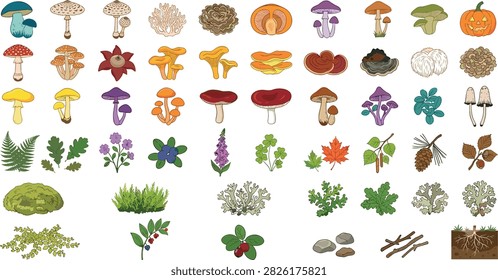 A comprehensive collection of forest nature elements including mushrooms, plants, leaves, moss, lichens, branches, rocks, and botanical objects. Perfect for educational materials, nature guides, game assets, environmental illustrations, and woodland design projects.