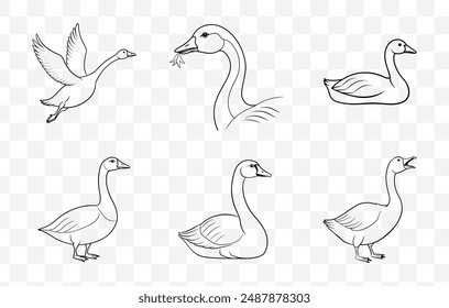 Comprehensive Collection of Intricate and Elegant Goose Line Art Vector Illustrations for Creative Design Projects and Artistic Inspiration