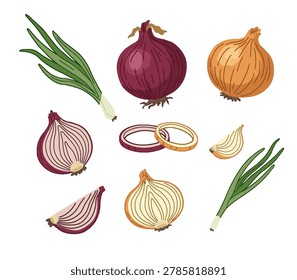 A comprehensive collection of onion vector illustrations including whole, halved, sliced rings, wedges of red and yellow onions, along with fresh green scallions on a black background.
