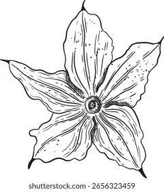 Eine umfassende und detaillierte Illustration, die ein einzigartiges und schönes Blumendesign zeigt