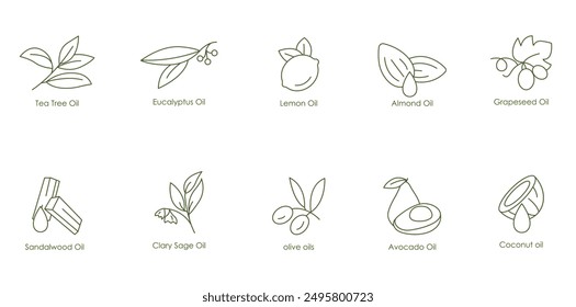 Comprehensive Essential Oils Vector Icons: Tea Tree, Eucalyptus, Lemon, Almond, Grape Seed, Sandalwood, Kale Seed, Olive, Avocado, Coconut