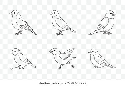 Comprehensive Finch Line Art Vector Set Illustrations for Artists and Designers