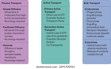 Comprehensive Flow Chart of Membrane Transport Types in Cells, Educational Vector Illustration of Cellular Transport Mechanisms