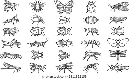 Comprehensive graphic set showing numerous insects bugs and small arthropods in simple outline style suitable for science study